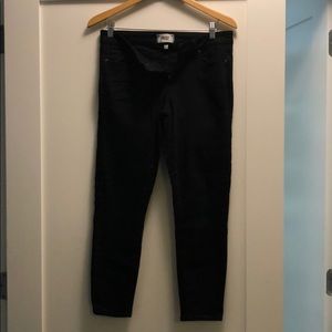 PAIGE DENIM VERDUGO CROP